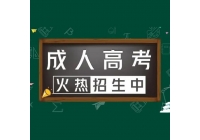 黑龙江成人高考可以从网上学习考试吗?