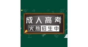 大庆黑龙江成人高考可以从网上学习考试吗?